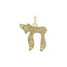 Alphabet Hebrew Chai Star Of David Jewish Kabbalah Religious Jewelry Gold Plated Copper Metal Pendant