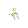  Alphabet Hebrew Chai Jewish Kabbalah Religious Jewelry Gold Plated Copper Metal Pendant