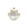 Approx 21.5x23.5mm Gold Plated Footprint Animal White Shell Pendant Charms For Women Special Gift Jewelry
